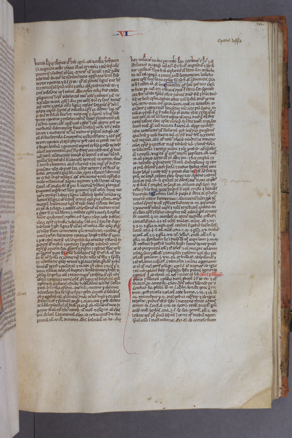 Folio 110 recto